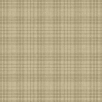 The Plaid One Easy Bake Backing Kit Plaid Tan - wide quilt backing fabric for longarm quilting