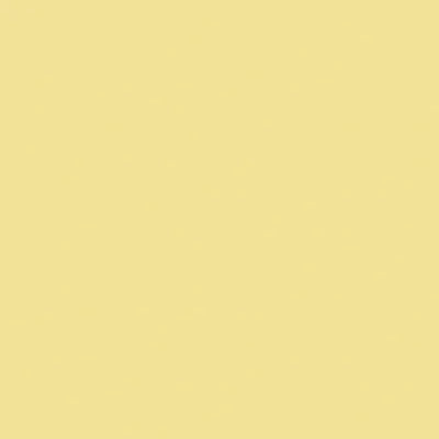 Superior Solids Light Yellow 108" Wide 3 Yard Quilt Fabric Back Pack