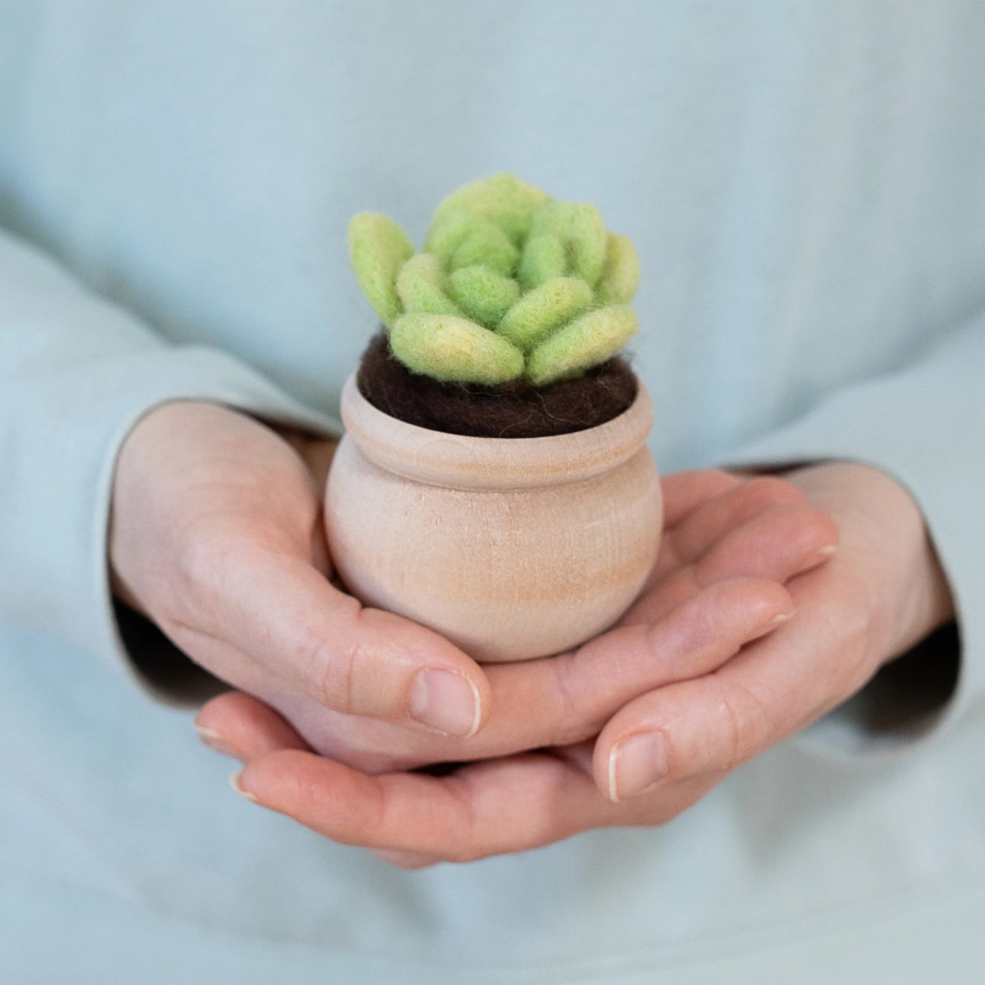 felted succulents Lily Pad Succulent Mini Needle Felting Kit – Quilted Joy