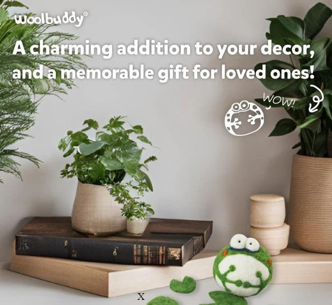 Frog DIY Needle Felting Kit