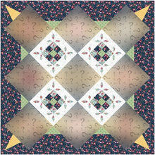 Quilt Fairy Frolic Primrose Path quilt kit presale