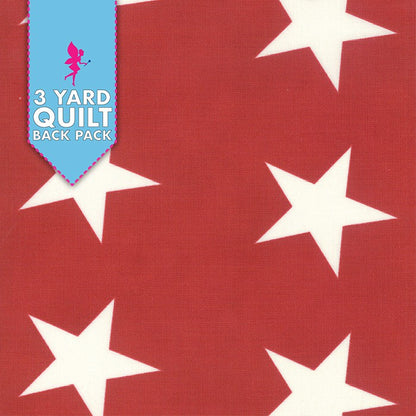 Red Bunting Quilt Backing Fabric