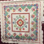 "Summer Delight" pieced by Sheila Quinn, quilted by Helia Ricci at MQX Midwest 2016