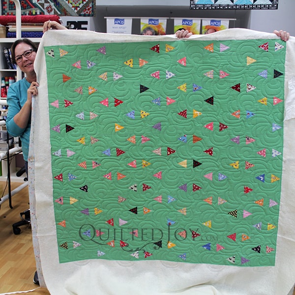 Confetti Quilt, Lynn quilted this cutie for her future grandson!