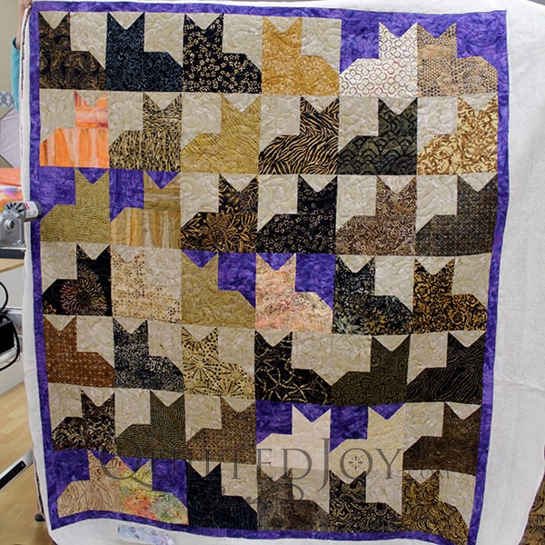 Nancy quilted her Pins and Paws quilt at Quilted Joy.