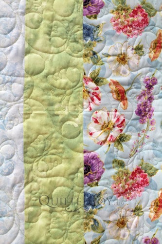 Butterflies and Daisies edge to edge design on Mary Jo's Sampler Quilt