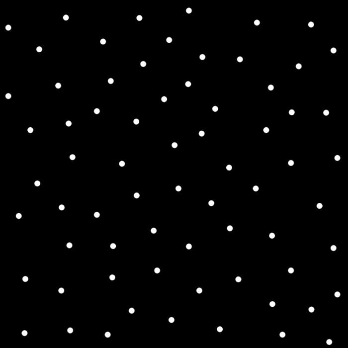 Kimberbell Tiny Dots - Black 108" Wide Quilt Back Available at Quilted Joy