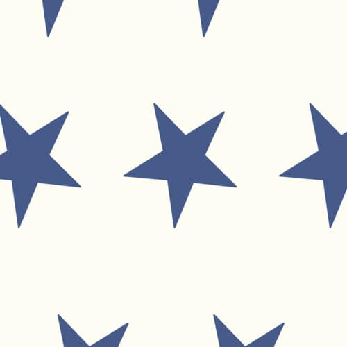Star Bunting Ivory 108" Wide Quilt Backing